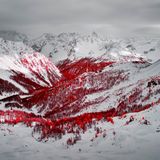 Piz dal Teo mit Baumbewuchs im Vordergrund