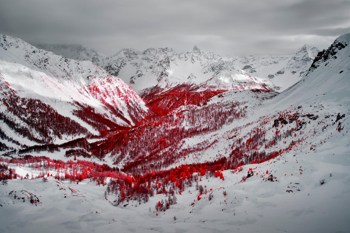 Piz dal Teo mit Baumbewuchs im Vordergrund
