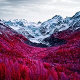 Morteratsch mit Baumlandschaft