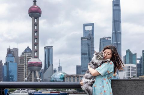 Terrie Jin mit Katze auf dem Arm vor der Skyline