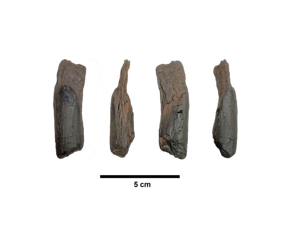 Holzwerkzeug von vor 430.000 Jahren
