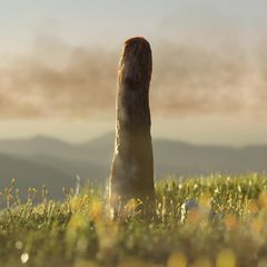 Visualisierung von Prototaxites