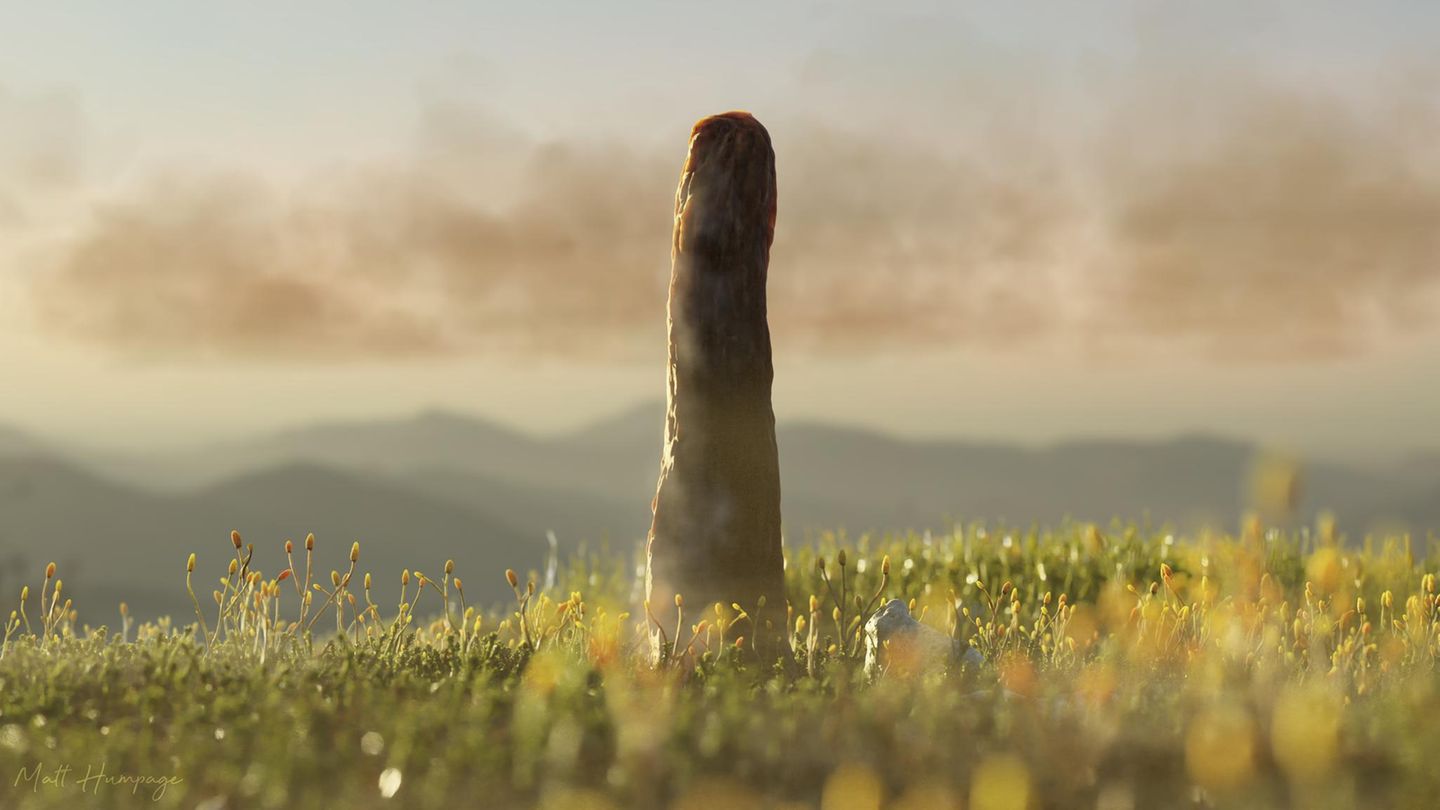 Visualisierung von Prototaxites