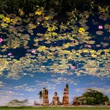 An einem ruhigen Morgen kurz nach Sonnenaufgang bemerkte Fotograf John Edwards, wie klar sich die Buddha‑Figur im stillen Wasser spiegelte. Um die friedliche, traumartige Stimmung des Augenblicks zu verstärken, spiegelte er auch seine Aufnahme, sodass die Szene wie eine Sinnestäuschung wirkt. Als läge die Landschaft unter einem Himmel voller schwebender Blumen und Seerosen. Entstanden ist das Bild in einer Region Thailands, deren Name übersetzt "Morgendämmerung des Glücks" bedeutet.