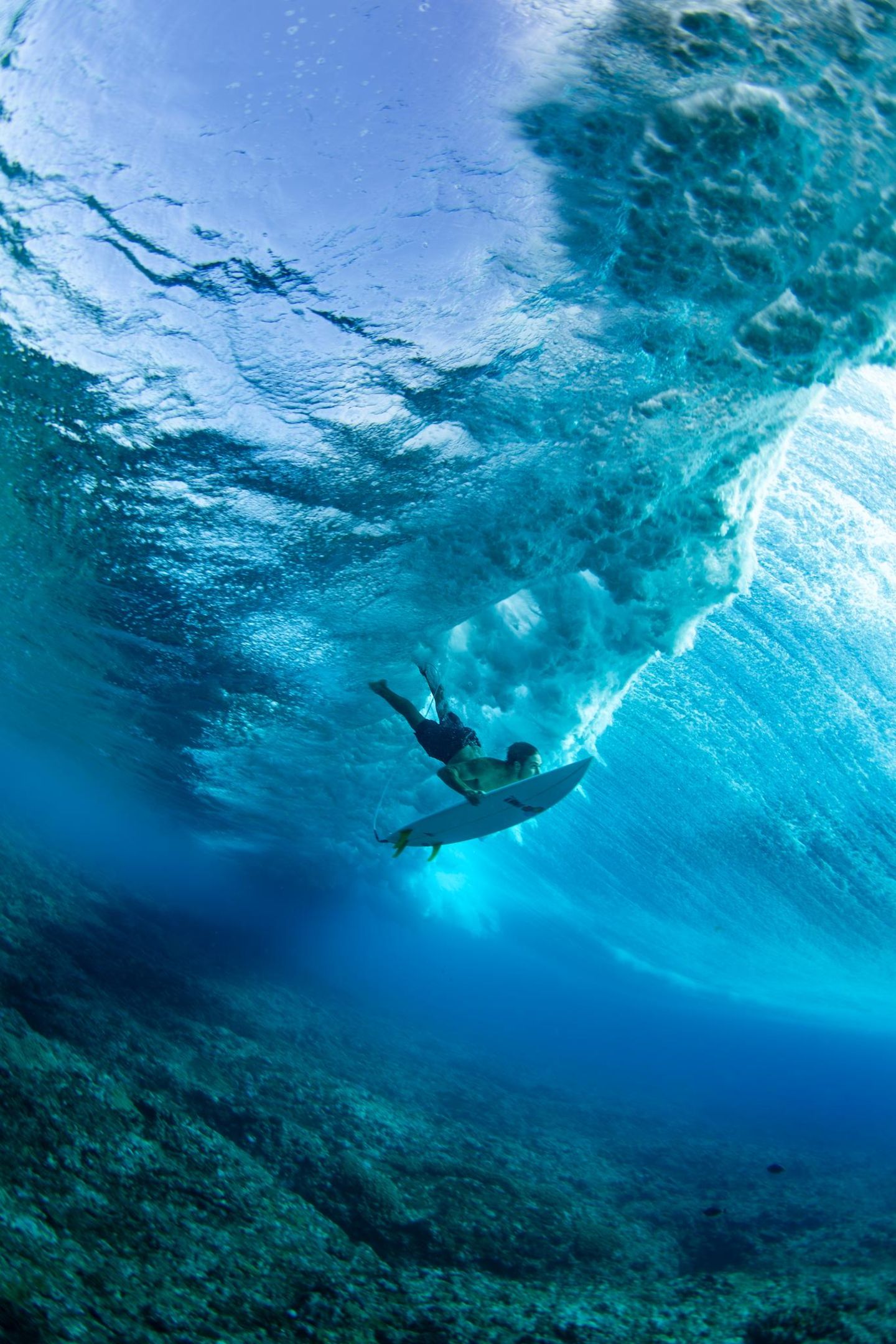 Eine Perspektive, die sonst nur Meeresbewohner kennen: In der Nähe der Insel Tavarua gelang dem brasilianischen Fotografen Frederico Figueiredo die spektakuläre Aufnahme eines Surfers, der tief unter Wasser abtaucht, um einer heranrollenden Welle auszuweichen. Die Fidschi-Inseln gelten als ebenso beliebtes wie anspruchsvolles Surferparadies und sind vor allem erfahrenen Big‑Wave‑Surfern vorbehalten.
