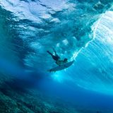 Eine Perspektive, die sonst nur Meeresbewohner kennen: In der Nähe der Insel Tavarua gelang dem brasilianischen Fotografen Frederico Figueiredo die spektakuläre Aufnahme eines Surfers, der tief unter Wasser abtaucht, um einer heranrollenden Welle auszuweichen. Die Fidschi-Inseln gelten als ebenso beliebtes wie anspruchsvolles Surferparadies und sind vor allem erfahrenen Big‑Wave‑Surfern vorbehalten.