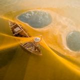 Im Morgenlicht leuchten die Netze golden über einem Fluss in Vietnam. Die Fischer spannen sie für ihren Fang weit übers Wasser. Auf Teo Chin Leongs Foto ist der Fang nicht zu sehen. Die sanften Farben und die klare Komposition lassen die Szene friedlich wirken, fast wie in einem Traum oder einer Fantasie.