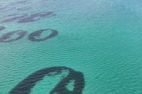 Seegras-Feenkreise in Schottland