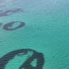 Seegras-Feenkreise in Schottland