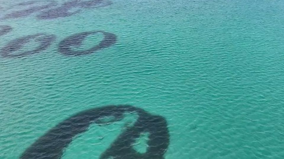 Seegras-Feenkreise in Schottland