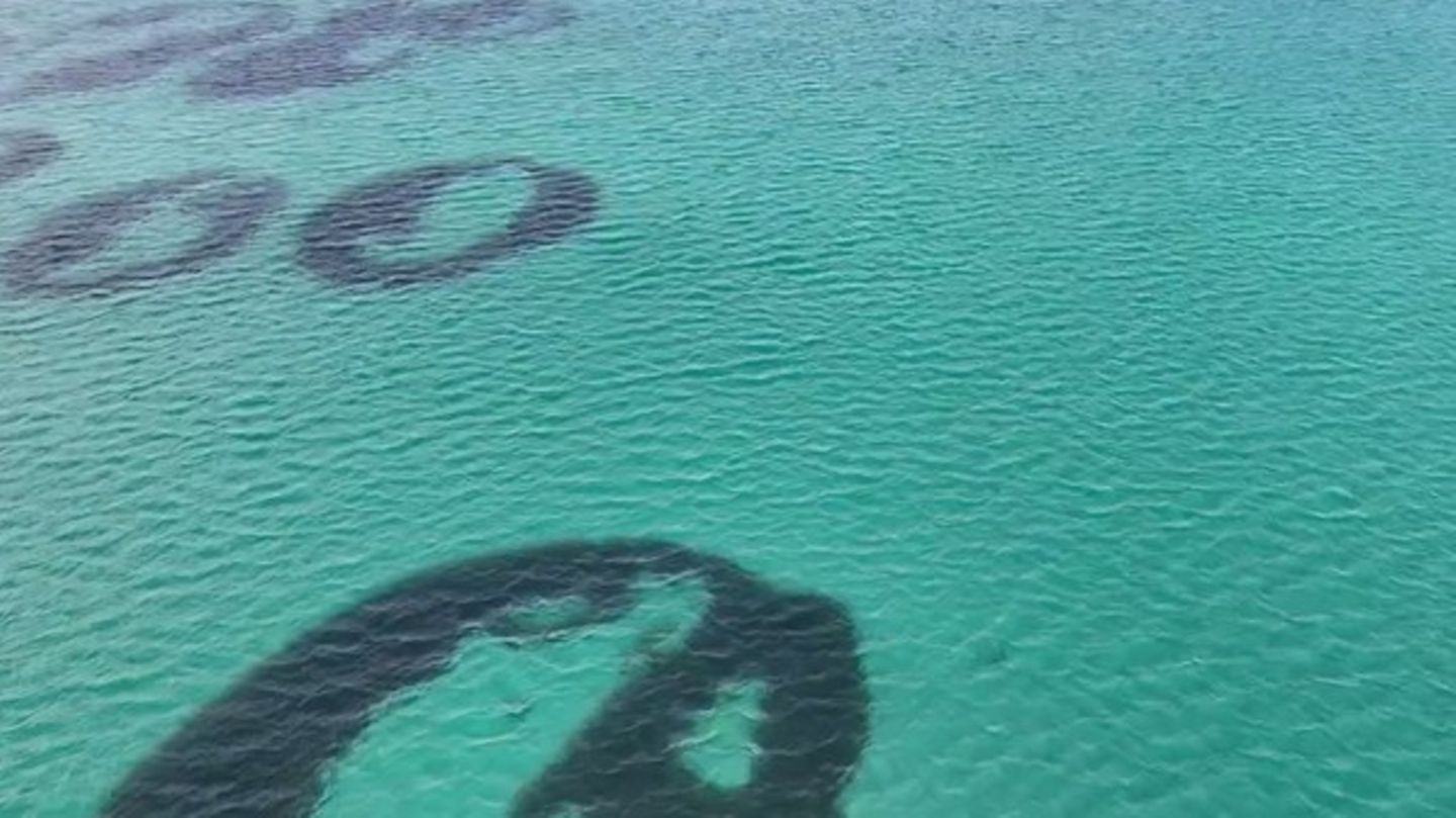 Bizarres-Ph-nomen-Seegras-Feenkreise-erstmals-vor-der-K-ste-Schottlands-gefilmt