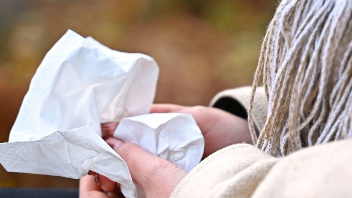 Tödliche Verläufe mit RSV sind möglich, in Deutschland aber sehr selten (Symbolbild). Foto: Elisa Schu/dpa