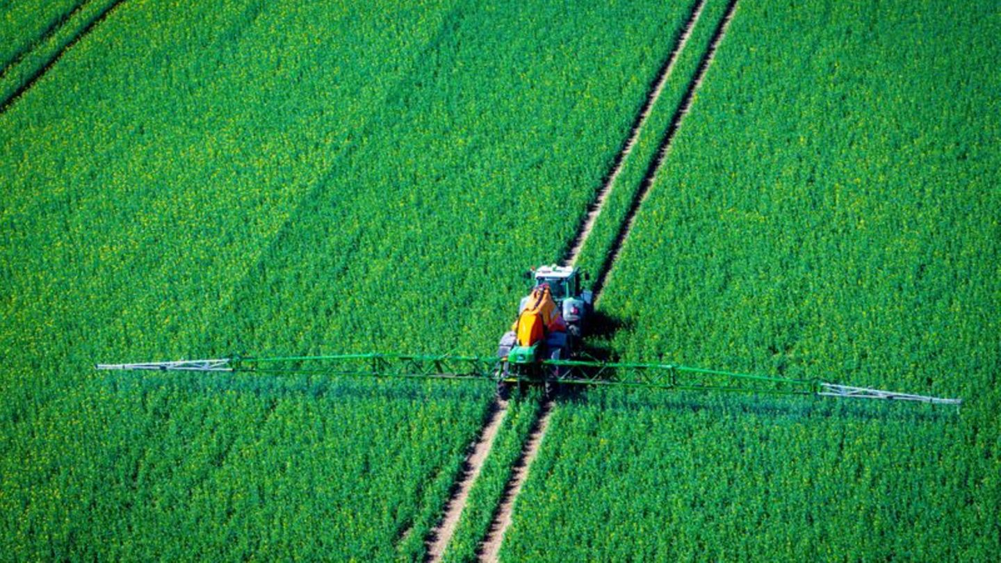 Landwirtschaft-im-Blindflug-Studie-Pestizide-sch-digen-Europas-B-den-und-N-tzlinge