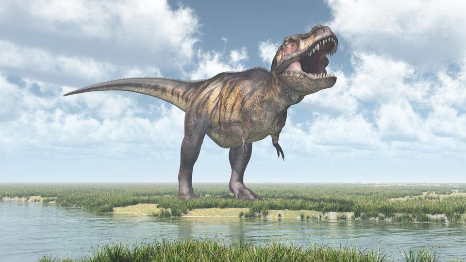 ;Illustration;Paleontology;Tyrannosaurus Rex;