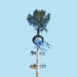Maibaum