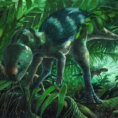 Dinosaurier Illustration grün