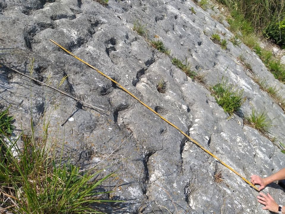 Ein Zwei-Meter-Zollstock offenbart die Dimensionen der Massenflucht