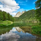 Palpuognasee in der Schweiz mit sich spiegelnden Bergen und Wäldern auf der Wasseroberläche