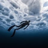 Tauchen in feindlicher Umgebung: Ohne Atemgerät erkundet ein Freitaucher die in Blau- und Grautönen leuchtende Eisdecke des mehr als 300 Kilometer langen Huronsees (Ontario, Kanada) von unten: für die Jury der erste Platz in der Kategorie "Kaltwasser".