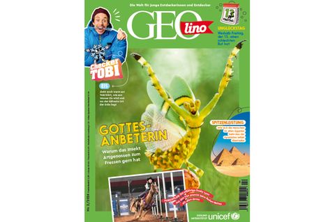 Cover GEOlino 02/2026: Gottesanbeterin