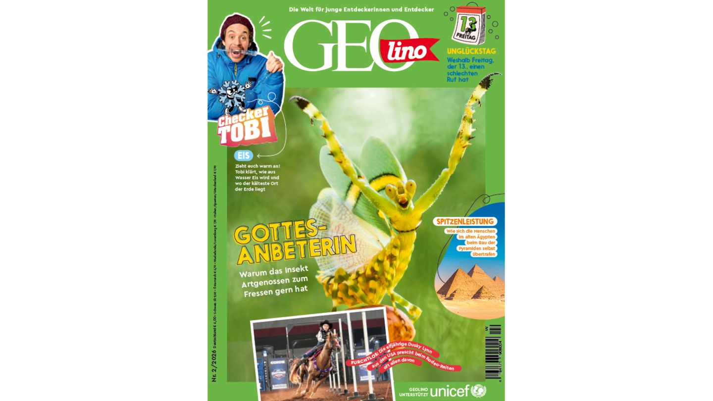 GEOlino-Gottesanbeterin