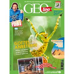 Cover GEOlino 02/2026: Gottesanbeterin