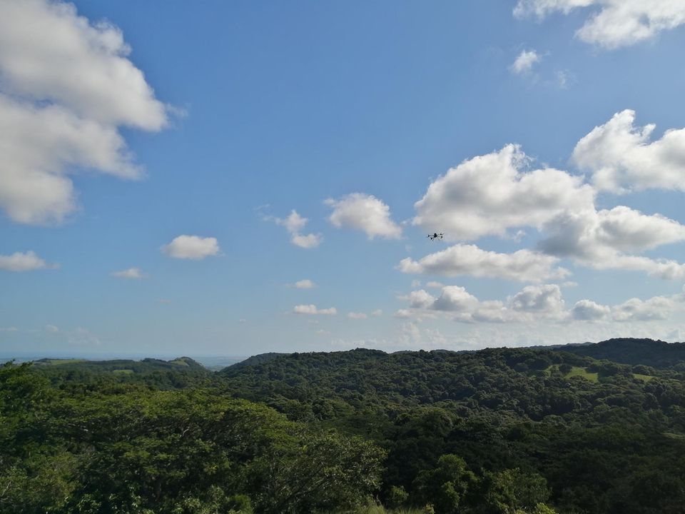 Eine Drohne fliegt über den Wald