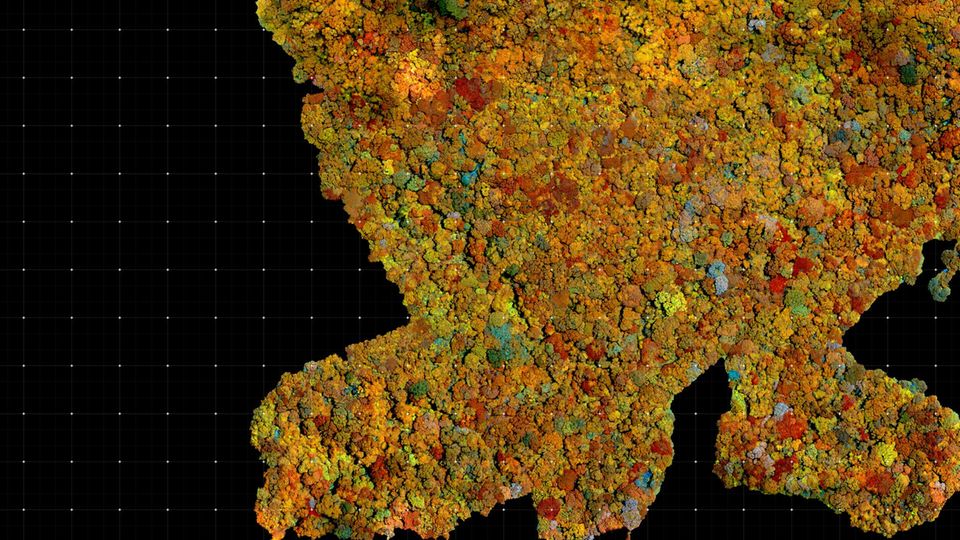 Drohnenansicht in Multispektralfarben