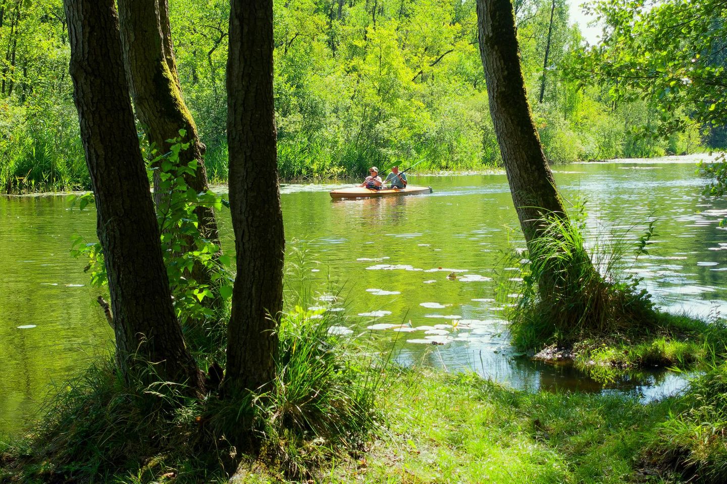 Zwei Personen paddeln auf dem See