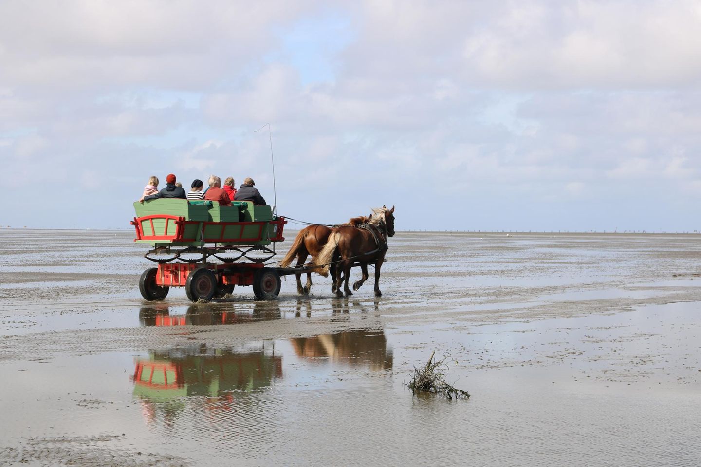 Eine Kutsche wird von einem Pferd durchs Watt gezogen