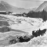 Bei den Olympischen Winterspielen 1924 werden die Bobfahrer zum Wettkampfort kutschiert