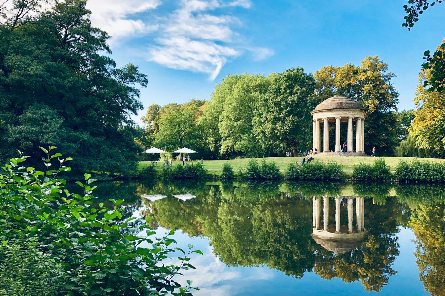 Trees and reflections on the water beautiful landscape view