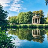 Trees and reflections on the water beautiful landscape view