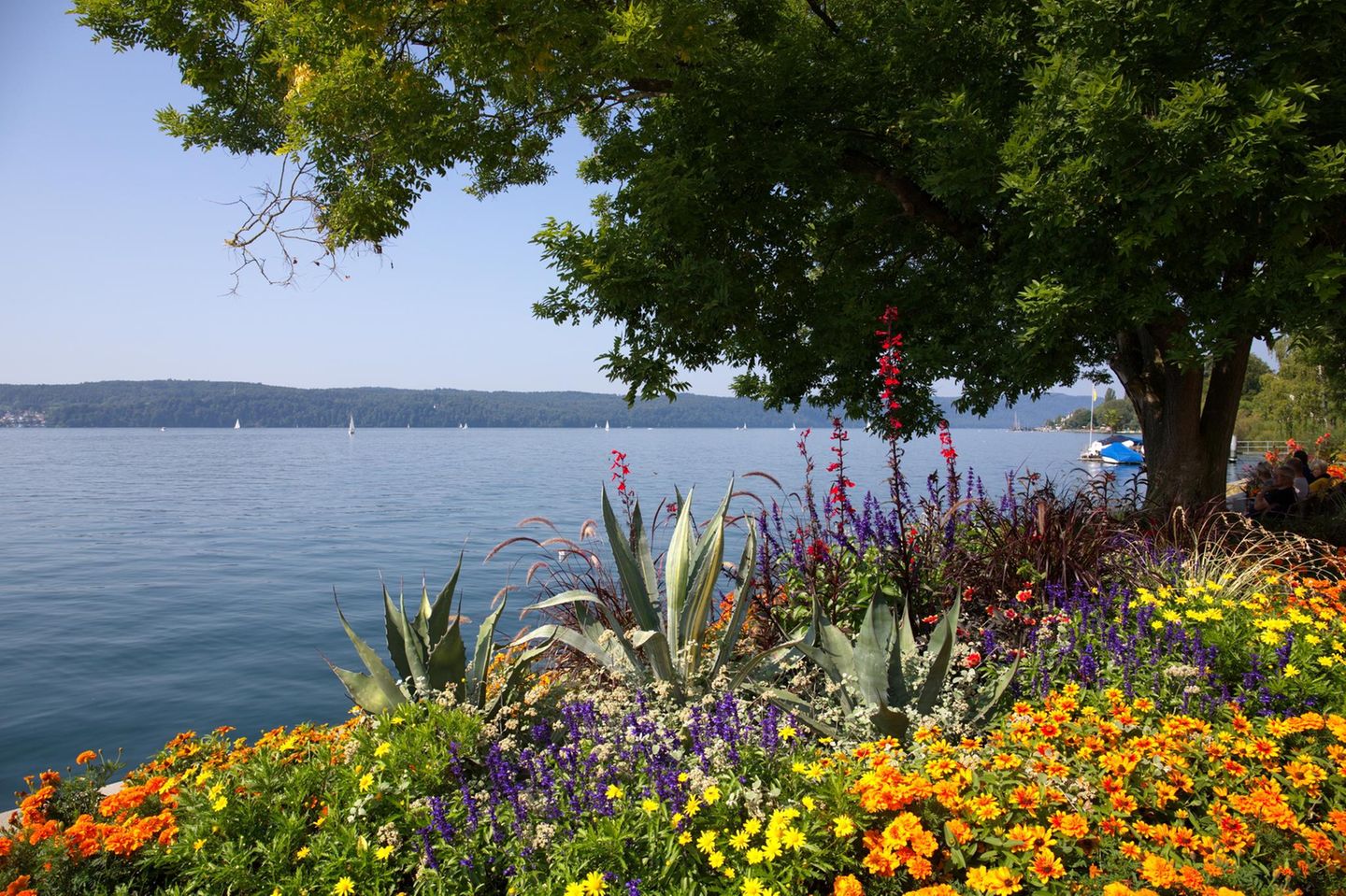 Insel Mainau
