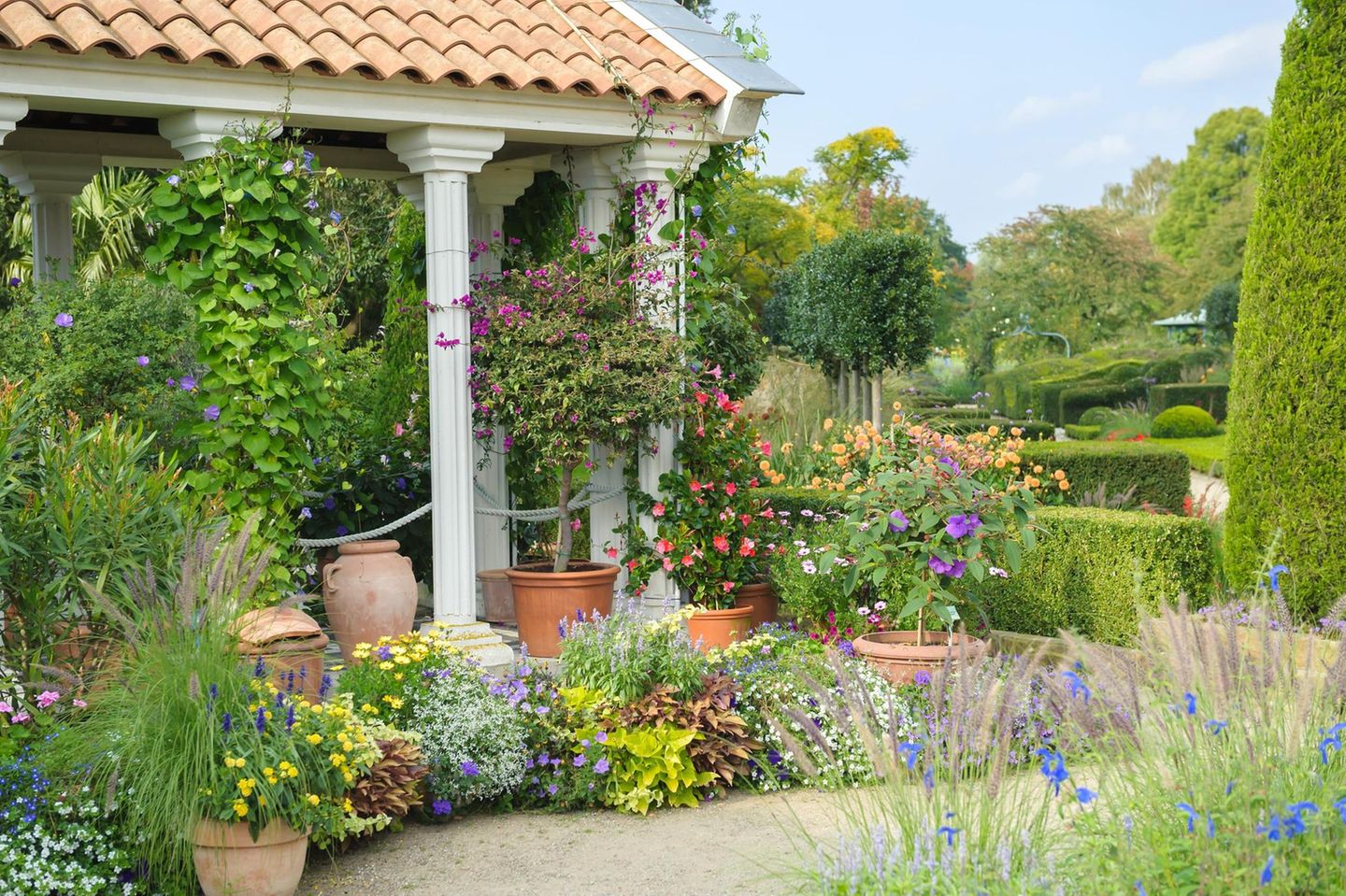 Garten des Südens, Arboretum Baumpark Ellerhoop, Arboretum Baumpark Ellerhoop, Ellerhoop-Thiensen, Schleswig-Holstein, Deutschland, Europa