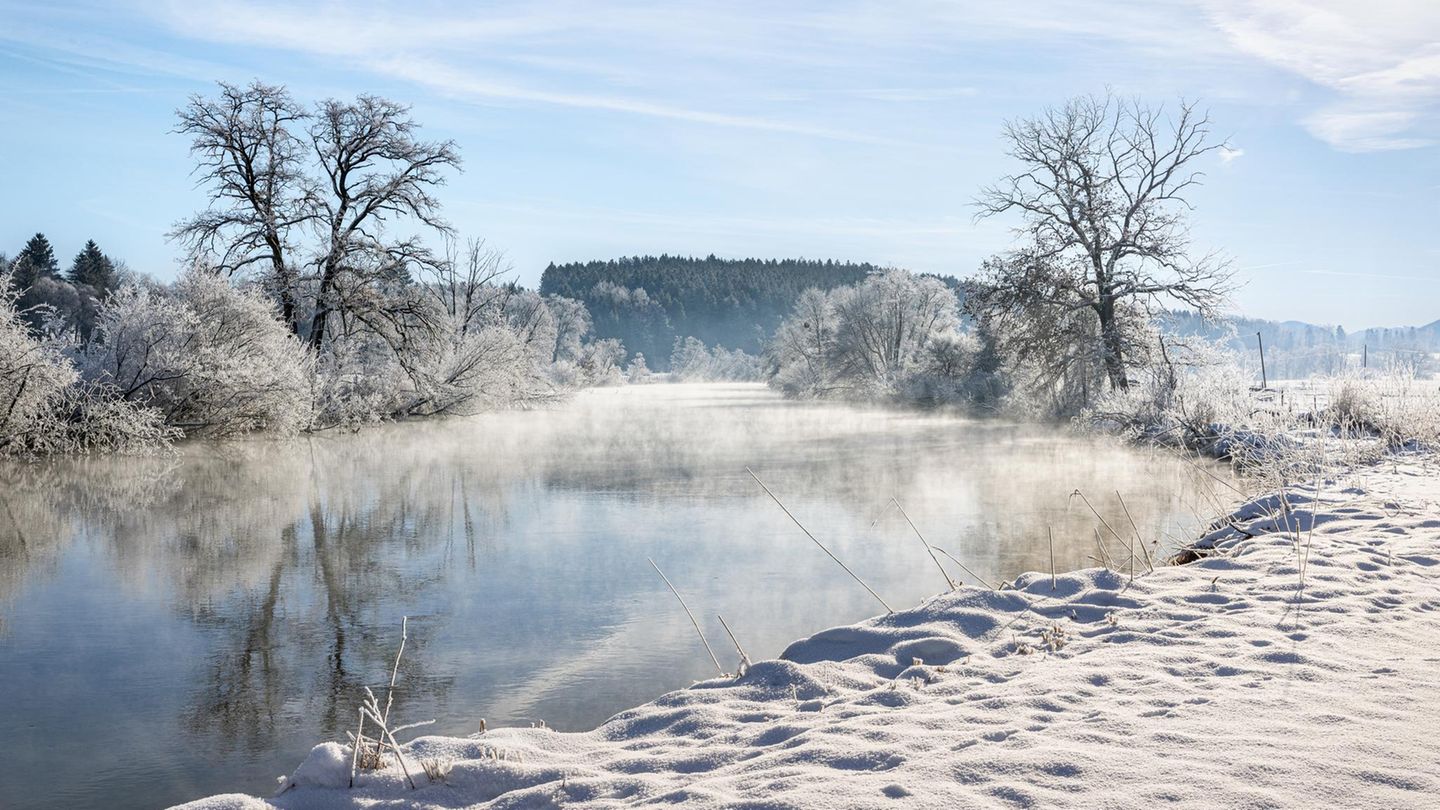 Forschende-warnen-Ewigkeitschemikalie-TFA-breitet-sich-aus-mit-Folgen-f-r-Mensch-und-Umwelt