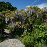 Im Herzen der englischen Grafschaft Kent liegt Great Maytham Hall, ein verwunschener Garten, umgeben von hohen Mauern und dichtem Grün. Genau hier schöpfte Frances Hodgson Burnett die Inspiration zu ihrem Kinderbuch "Der geheime Garten". Der Protagonistin gefiel es, "dass niemand wusste, wo sie war, wenn seine herrlichen alten Mauern sie umschlossen."
