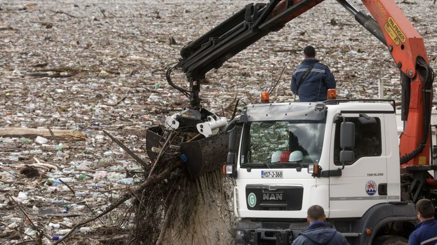 Der Verlust biologischer Vielfalt zählt einem aktuellen Weltbericht zufolge zu den größten Bedrohungen für die Wirtschaft. Foto: