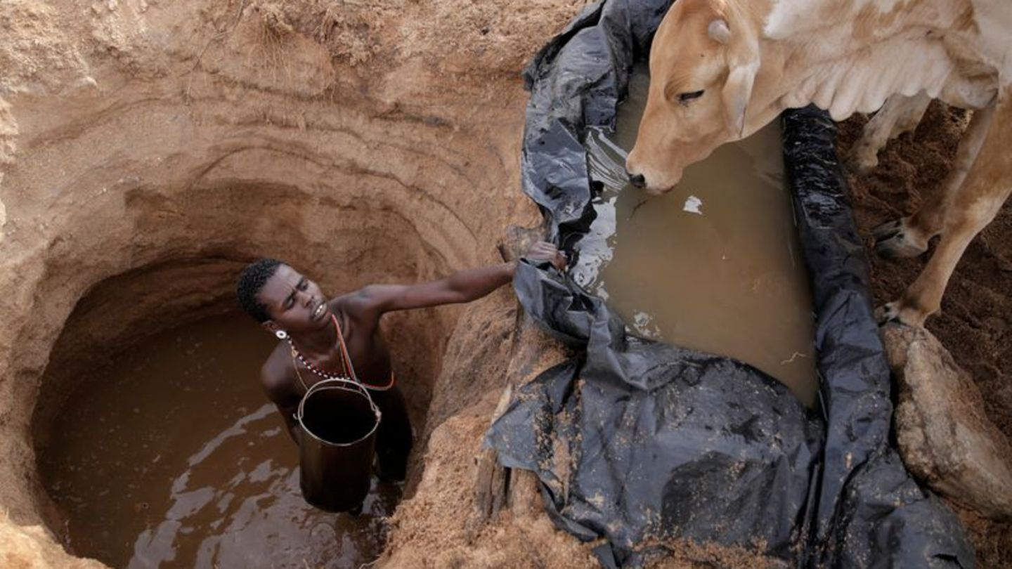 Ein Viehhirte vom Volk der Samburu im Norden Kenias tränkt Rinder (Archivbild) Foto: Brian Inganga/AP/dpa