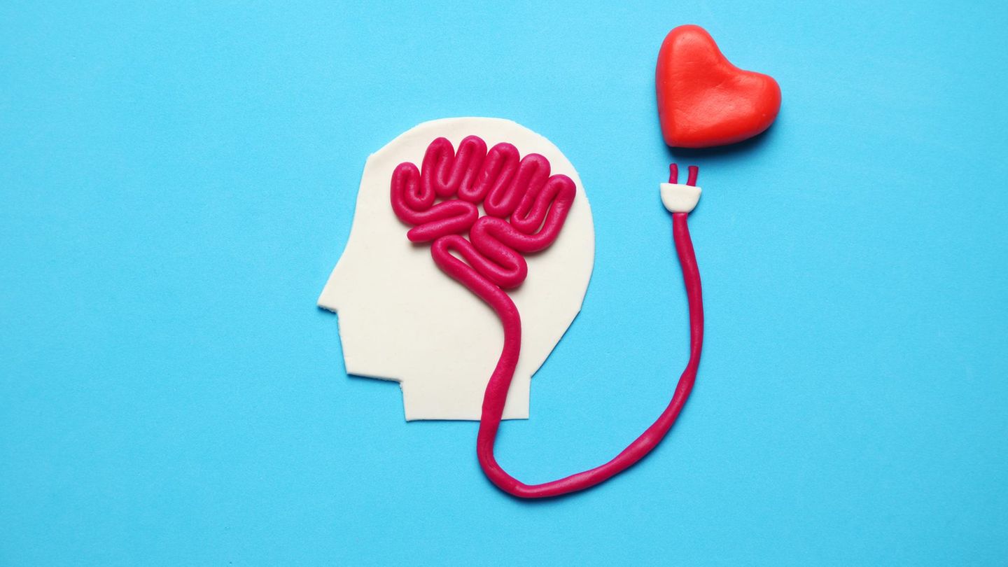 Hirnforschung-Selbstlosigkeit-auf-Knopfdruck-Was-Hirnstimulation-bewirken-kann