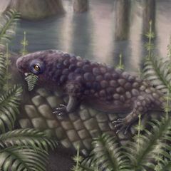 Illustration eines Tyrannoroter heberti, der einen Farn isst