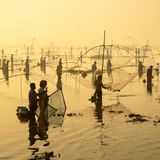 In Pabna, Bangladesch, findet an einem nebligen Wintermorgen ein jahrhundertealtes traditionelles Fischerfest statt. Das Fest, bei dem Hunderte Fischer inmitten atemberaubender Natur zusammenkommen, zieht Schaulustige von nah und fern an – und erinnert daran, wie eng das Leben der Menschen mit ökologischen Kreisläufen verbunden ist.  Besonders von der Jury gelobt in der Kategorie "Natur, Nahrung und Landwirtschaft": Joy Saha, „Catch of the Day“