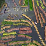 In Natore, Bangladesch, treiben Tausende Jutestangen im Wasser und bilden ein faszinierendes Muster. Landwirte weichen die Jute im Wasser ein, um die Fasern von den Pflanzenstängeln zu trennen. Sie werden für diverse Textilien verwendet, etwa Garne, Teppiche oder Vorhänge.  Sieger der Kategorie "Natur, Nahrung und Landwirtschaft": Joy Saha, "Jute Processing"