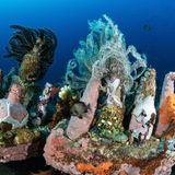 Spuren, die der Mensch hinterließ: Erst beim zweiten Hinsehen offenbaren sich Kisten mit Flaschen, die auf dem Meeresgrund vor den Philippinen von verschiedenfarbigen Organismen besiedelt werden.  Sieger der Kategorie "Mensch und Natur": Guido Villani, "An unusual backdrop"