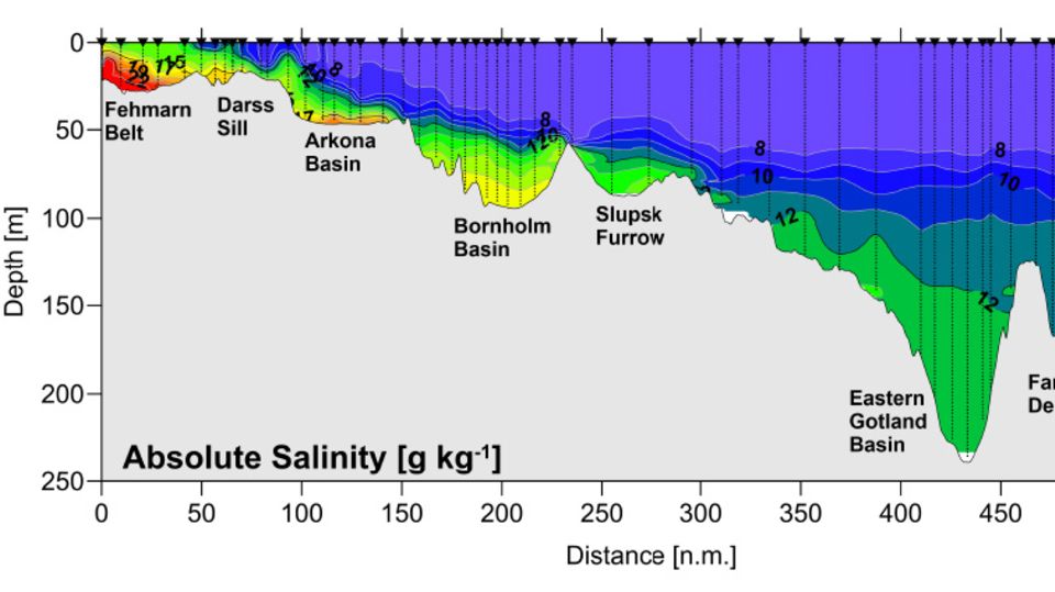 Querschnitt der Ostsee mit Salzgehalt in verschiedenen Tiefen