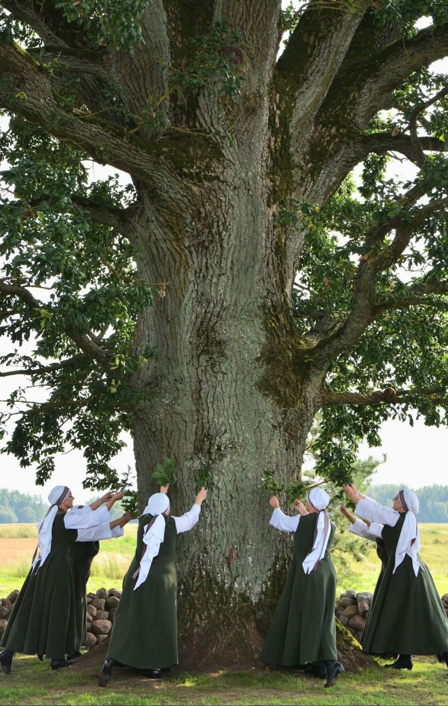 Frauen in Trachten tanzen um eine Eiche in Laukia, Litauen