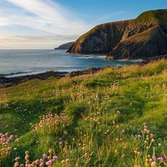Küstenlandschaft von Pembrokeshire