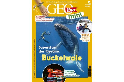 GEOlino Mini 02/2026: Buckelwale