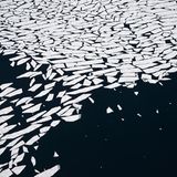 Wie Splitter einer geborstenen Milchglas-Scheibe muten diese in der Diskobucht treibenden Eisschollen an. Dass das umgebende Wasser schwarz erscheint, ist der Vogelperspektive geschuldet: Von oben gesehen, sind Spiegelungen des Himmels auf ein Minimum reduziert.