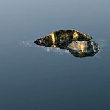 Die Abendsonne lässt einen im Wasser treibenden Eisrest bernsteinfarben aufleuchten. "Mir wird klar, dass gerade die Vergänglichkeit des Eises die Grundlage all seiner Schönheit ist", schreibt der Fotograf zu diesem Bild. "Und dass es damit, als ein in menschlicher Ignoranz vielfach dem unbeseelten Teil der Natur zugerechnetes Phänomen, uns viel näher steht, als wir uns das vielleicht eingestehen mögen."